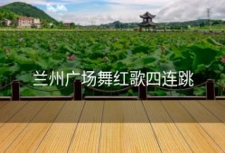 兰州广场舞红歌四连跳