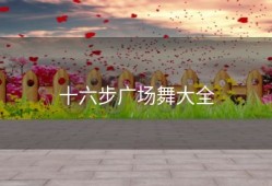 十六步广场舞大全