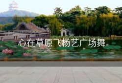 心在草原飞杨艺广场舞
