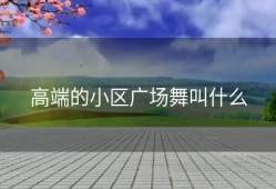 高端的小区广场舞叫什么