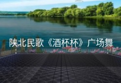 陕北民歌《酒杯杯》广场舞