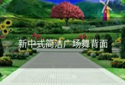 新中式简洁广场舞背面
