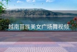 越南苗族美女广场舞视频