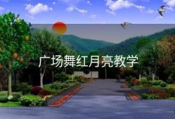 广场舞红月亮教学