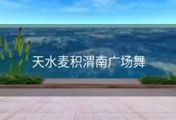 天水麦积渭南广场舞