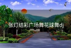 张灯结彩广场舞花球舞dj