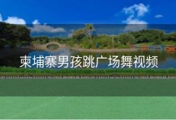 柬埔寨男孩跳广场舞视频