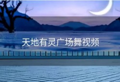 天地有灵广场舞视频
