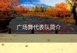 广场舞代表队简介