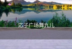 応子广场舞九儿