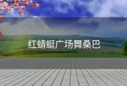 红蜻蜓广场舞桑巴