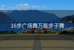 16步广场舞万能步子舞