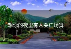 想你的夜里有人哭广场舞