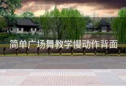 简单广场舞教学慢动作背面