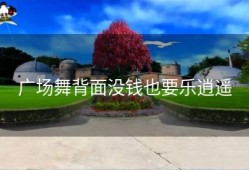 广场舞背面没钱也要乐逍遥