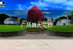广场舞大花桥