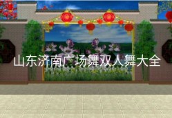 山东济南广场舞双人舞大全