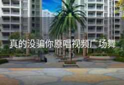 真的没骗你原唱视频广场舞
