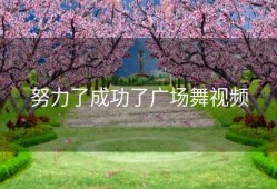 努力了成功了广场舞视频