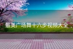 最美广场舞十六步视频大全