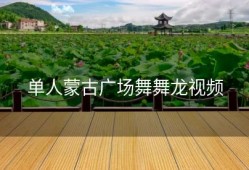 单人蒙古广场舞舞龙视频