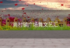 尚村镇广场舞文艺汇