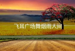 飞耳广场舞烟雨人间