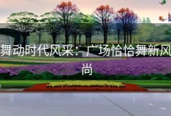 舞动时代风采：广场恰恰舞新风尚