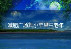 减肥广场舞小苹果中老年