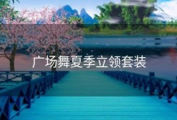 广场舞夏季立领套装