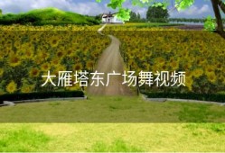 大雁塔东广场舞视频