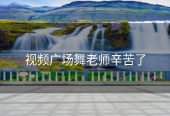 视频广场舞老师辛苦了