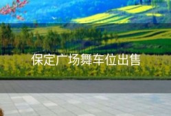 保定广场舞车位出售