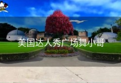 美国达人秀广场舞小哥