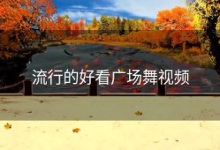 流行的好看广场舞视频