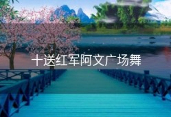 十送红军阿文广场舞