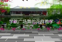 学跳广场舞的花样教学