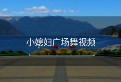 小媳妇广场舞视频