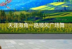 天涯海角一路顺风广场舞
