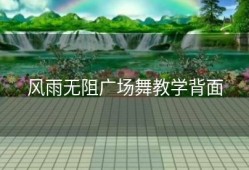 风雨无阻广场舞教学背面