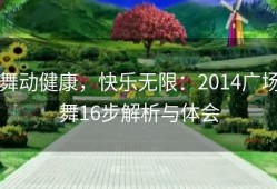 舞动健康，快乐无限：2014广场舞16步解析与体会