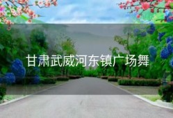 甘肃武威河东镇广场舞