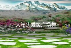 大崖头爱笑广场舞