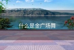 什么是金广场舞