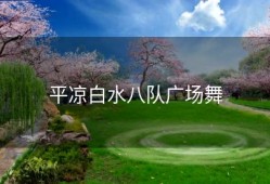 平凉白水八队广场舞
