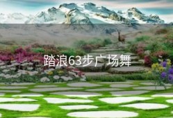 踏浪63步广场舞
