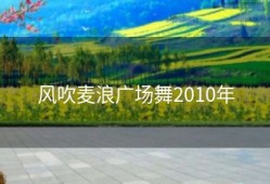 风吹麦浪广场舞2010年