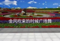 金风吹来的时候广场舞