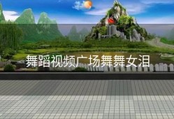 舞蹈视频广场舞舞女泪