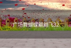 广场舞蝴蝶翩翩飞32